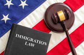 Understanding Immigration Law in the United States